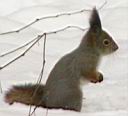 PC132788.JPG