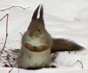 PC132821.JPG